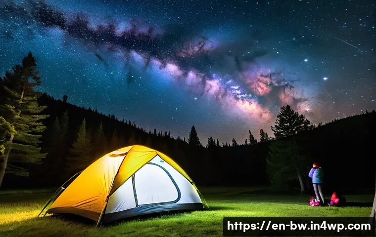 별 관측을 위한 최적의 장소 찾기 - A breathtaking night scene at a designated Dark Sky Park, featuring a family-friendly campground wit...